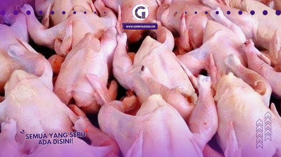 Harga Daging Ayam Melambung Tinggi Jelang Ramadhan